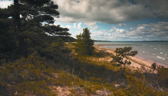 Pelizzari Natural Area 4